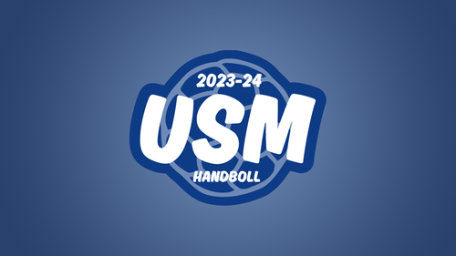 Handbolls VM 2023